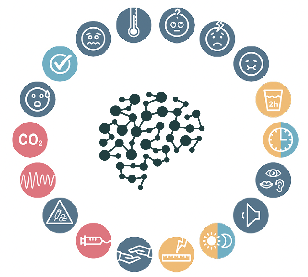 The Safe Brain Initiative core recommendations arranged around the brain